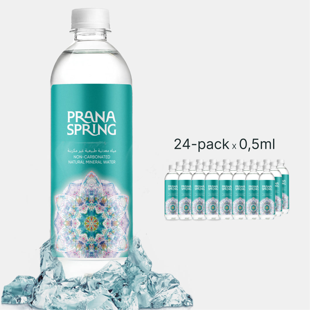 24 pack still water Prana Spring