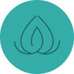 Prana Spring icon