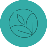 Prana Spring icon