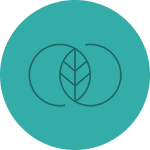 Prana Spring icon