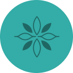 Prana Spring icon