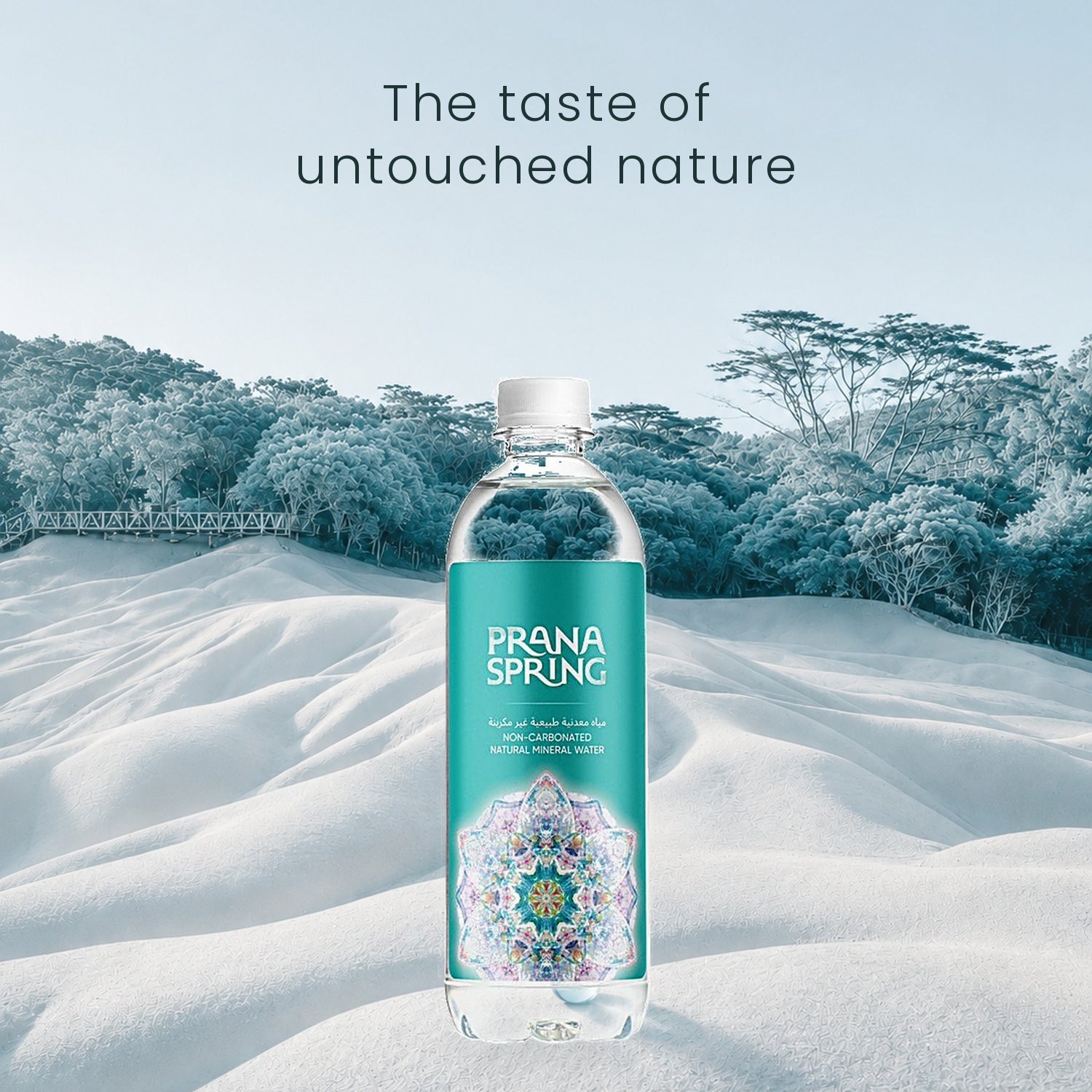 NON-CARBONATED NATURAL MINERAL WATER, VOLUME 0,5L